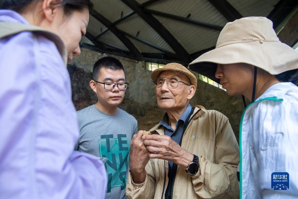 pt顶级138官网